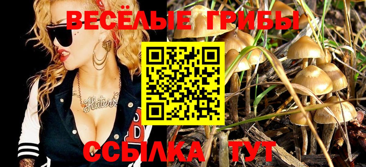 Псилоцибиновые грибы мухоморы  Вход с VPN  Псилоцибиновые грибы мухоморы  Краснокаменск 